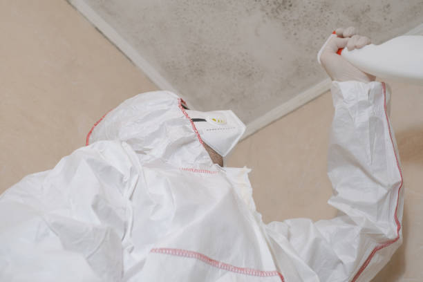 Office Mold Removal Services in Erwinville, LA